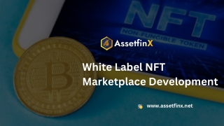 white label nft marketplace development