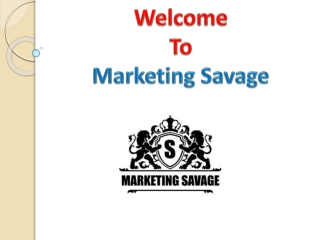 Best Business Ecommerce Custom Website Designs & Development Company In Frisco T