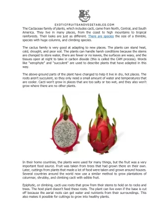 Dragon fruit, pitaya, pitahaya exoticfruitsandvegetables.com