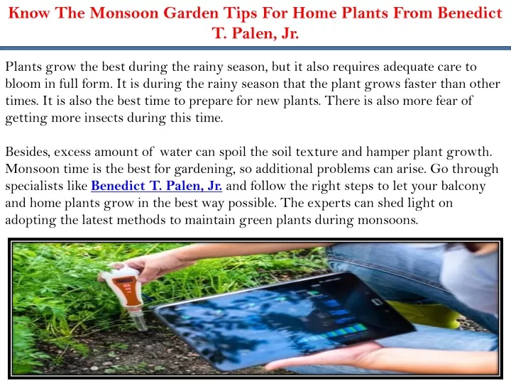 know the monsoon garden tips for home plants from