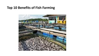 Top 10 Benefits of Fish Farming