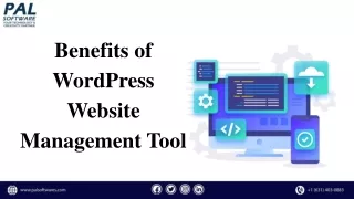benefits of wordpress website management tool