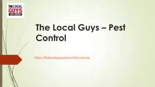 Termite Treatment Sydney | Thelocalguyspestcontrol.com.au