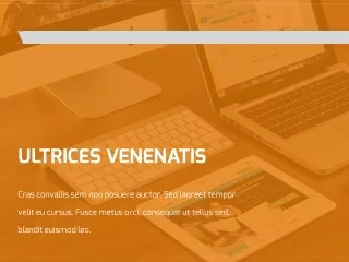 ultrices venenatis