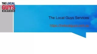 Franchise for Sale Adelaide | Thelocalguys.com.au