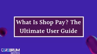 what is shop pay the ultimate user guide