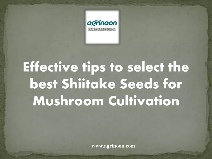 effective tips to select the best shiitake seeds