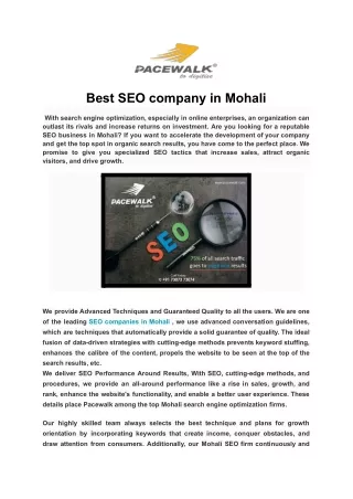 Best SEO company in Mohali