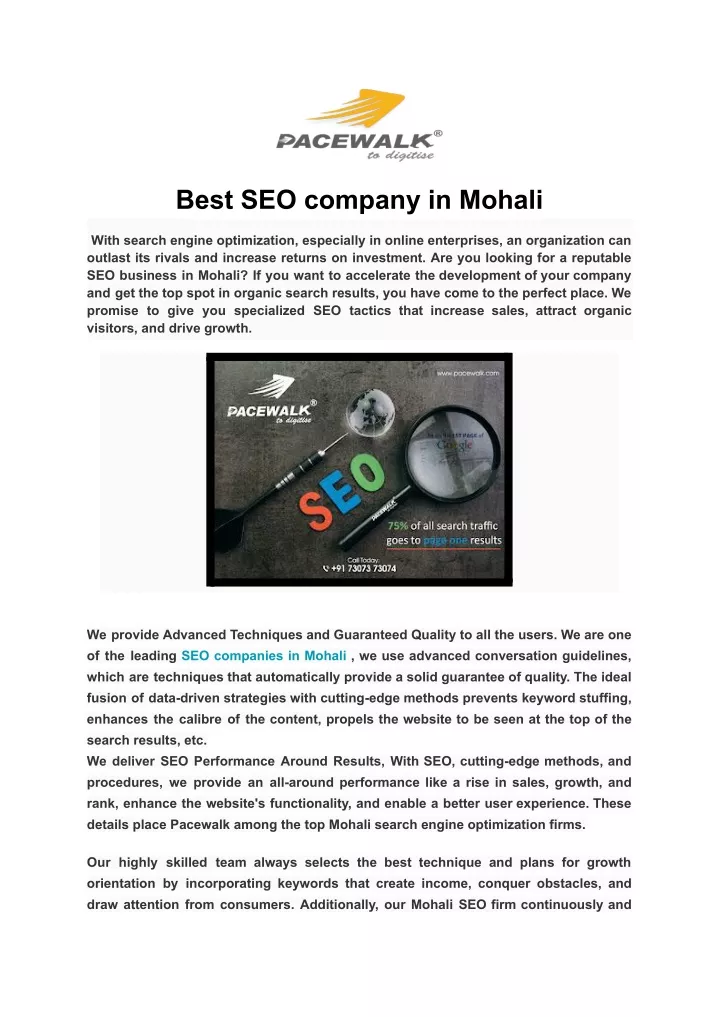 best seo company in mohali