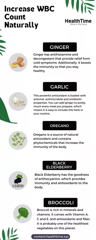 Increase WBC Count Naturally in Your Body