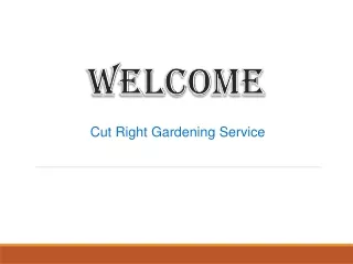 welcome