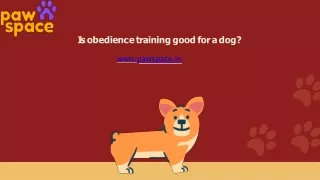 Is obedience training good for a dog | Pawspace