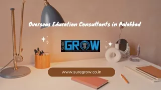Overseas Education Consultants Palakkad