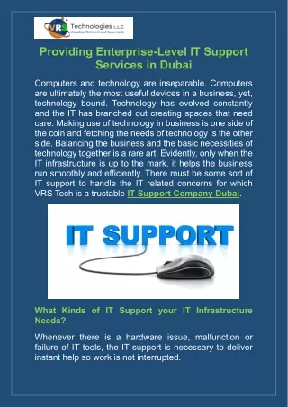 providing enterprise level it support services