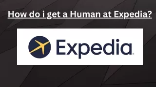 How do i Get a Human at Expedia? - Get Human