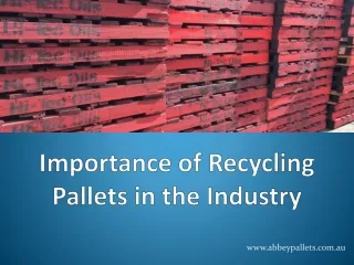 Importance of Recycling Pallets in the Industry