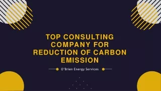 Top Consulting Company for Reduction of Carbon Emission