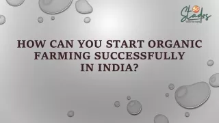 How Can You Start Organic Farming Successfully in India?