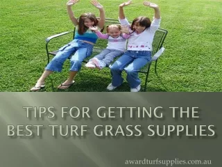 Tips For Getting The Best Turf Grass Supplies