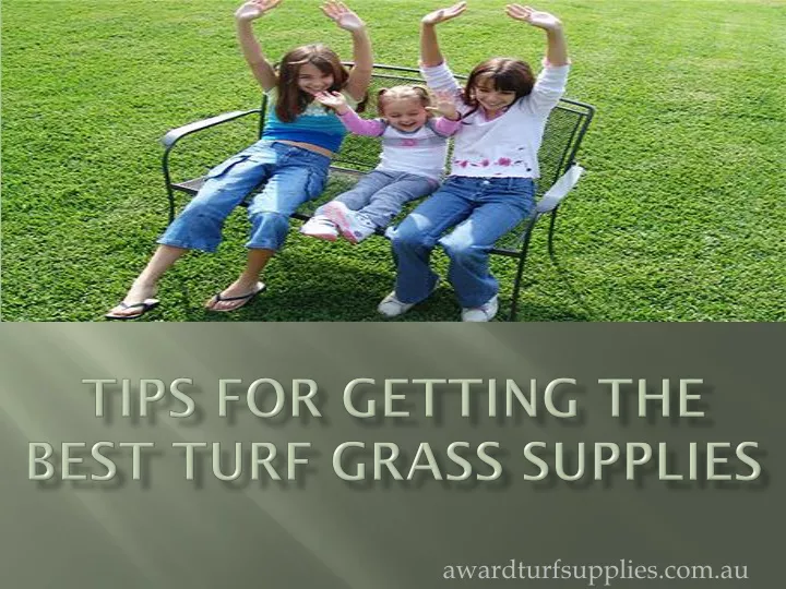 tips for getting the best turf grass supplies