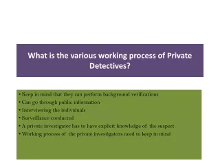 what is the various working process of private detectives