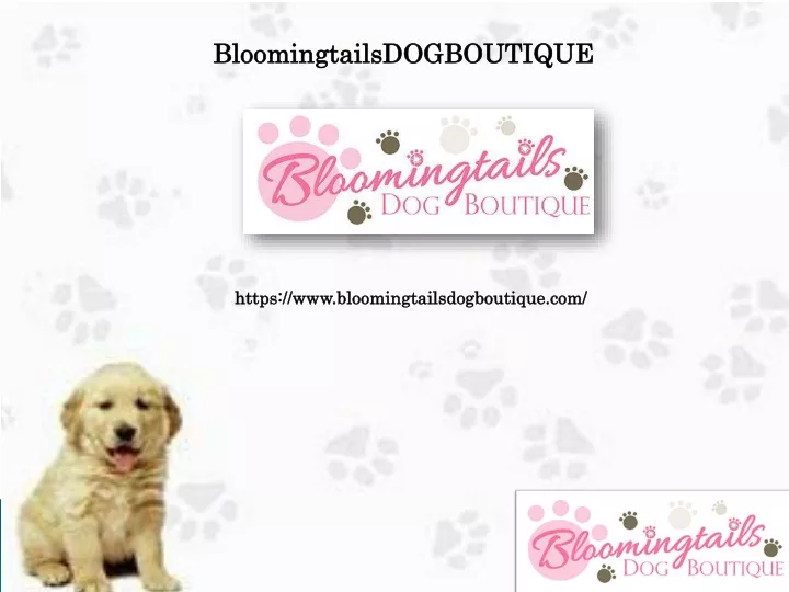 bloomingtailsdogboutique