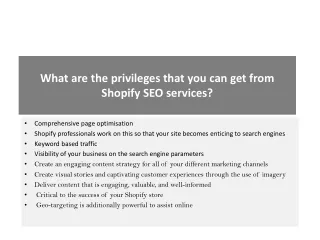 what are the privileges that you can get from shopify seo services