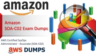 Download SOA-C02 Online Test Engine - SOA-C02 Exam Dumps
