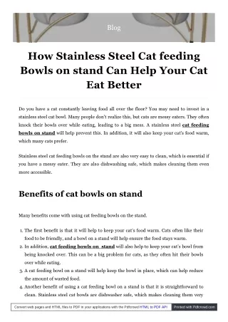 Stainless steel cat feeding bowls on stand and help cat eat better
