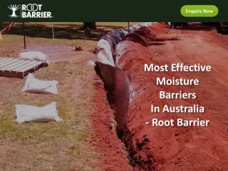 Most Effective Moisture Barriers In Australia - Root Barrier