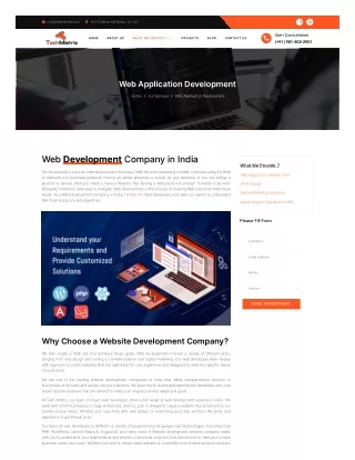 Web Development Services Company in Delhi, India | TechMistriz