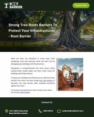 Strong Tree Roots Barriers To Protect Your Infrastructures - Root Barrier