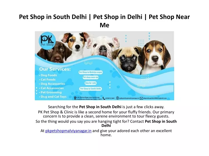 pet shop in south delhi pet shop in delhi pet shop near me