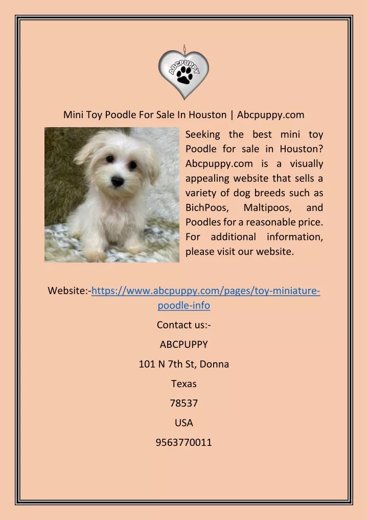 mini toy poodle for sale in houston abcpuppy com