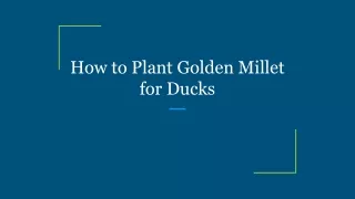 How to Plant Golden Millet for Ducks