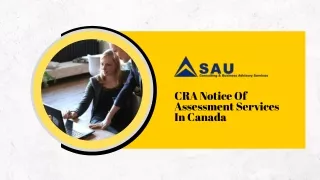 CRA Notice Of Assessment Services In Canada