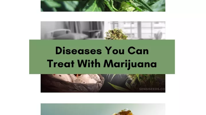 diseases you can treat with marijuana