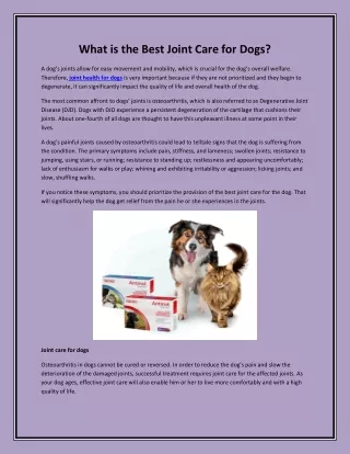 What is the Best Joint Care for Dogs