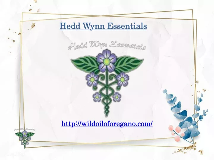 hedd wynn essentials