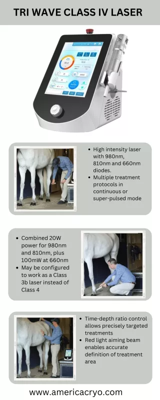 Laser Therapy for the Horse