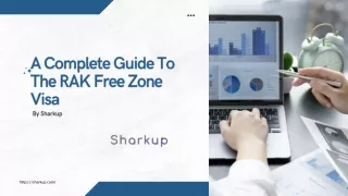 A Complete Guide To The RAK Free Zone Visa