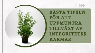 b sta tipsen f r att uppmuntra tillv