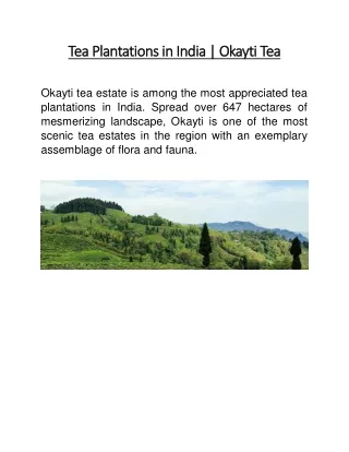 Tea Plantations in India | Okayti Tea