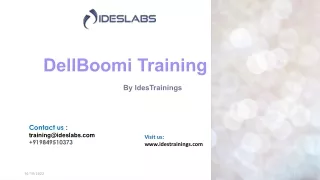 DellBoomi Training Pdf