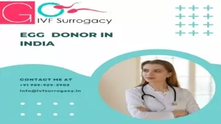 Egg Donor in India