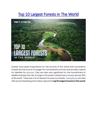 Top 10 Largest Forests in The World