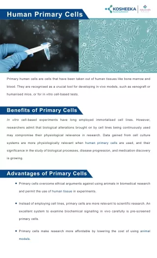 Human Primary Cells