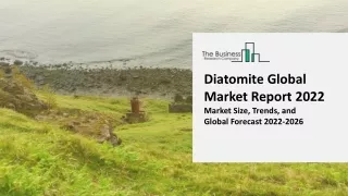 diatomite global market report 2022 market size