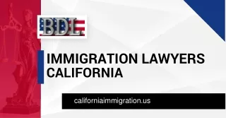 Choose best immigration lawyers California at Brian D Lerner
