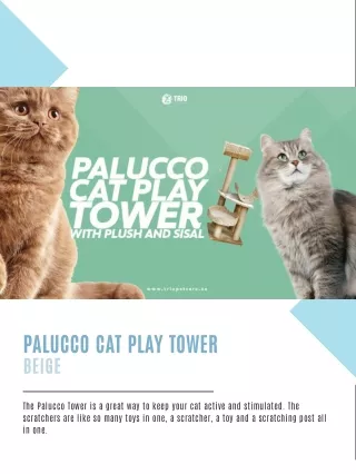 Palucco Cat Play Tower | Shop Cat Tower | UAE | Trio Pet Care